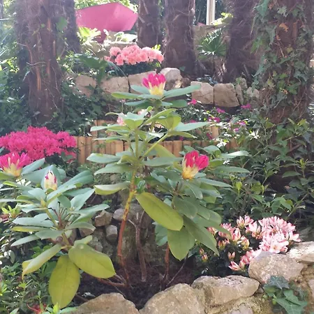 Nena With Free Private Parking Lägenhet Opatija