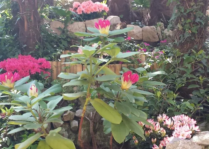 Nena With Free Private Parking Apartmán Opatija